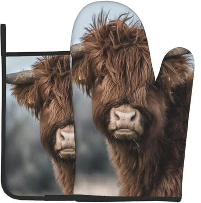 Hochlandrind, Schottische Tierwelt, Ofenhandschuhe und Topflappen, Kochhandschuhe, hitzebeständige Backhandschuhe