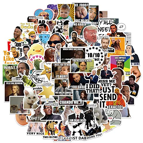 LYLSDSB Funny Meme Aufkleber 100 PCS Vinyl Classic TV Aufkleber für Laptop Skateboard Wasserflaschen Computer Scrapbook Telefon Auto Gitarre,Wasserdicht Meme Aufkleber für Teens Kinder Erwachsene
