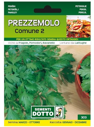 Sicignano | Semi Prezzemolo Comune 2, Pianta Aromatica, Facile da Coltivare, Busta Extra - 1 Confezione da 13g, Resistente al Freddo, Adatto a Pieno Sole, Raccolto da Gennaio a Dicembre