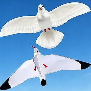 Touch the sky Tauben- und Möwendrachen Drachen für Kinder und Erwachsene, Leicht zu Fliegen, Einzigartiges Strukturdesign, Ausgezeichnete Outdoor-Spiele und Aktivitätsspielzeug. Geeignet für Anfänger.