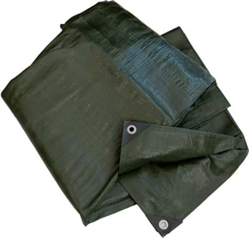 1 PZ TELONE OCCHIELLATO PE PESANTE VERDE WORKIT GR/MQ 180 MT 5X6 + POLIECO NextradeItalia Mod.FERX.VIRRXEDLXX