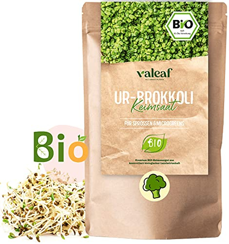 valeaf BIO Brokkoli Keimsaat 200 g I Brokkoli Samen für Brokkolisprossen mit Sulfarophan I Brokkoli Sprossen BIO I Brokkolisamen mit höchster Qualität & Keimfähigkeit I Bio Keimsprossen Samen