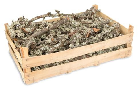 NaDeco Moos Zweige Natur, verpackt in Einer Holzsteige 60x40x18cm | Dekoäste | Dekozweige | Deko Äste | Deko Holz | Deko Hölzer | kleine knorrige Zweige | Terrariumdekoration | Krippenbau Material