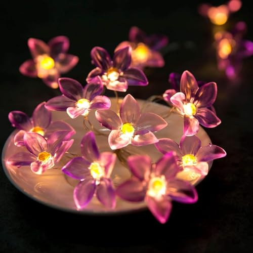 EONANT LED Blume String Lichter, 10ft 30 LED Blume Fee Lichter, batteriebetriebene Lily Blume Genie Lichter, Innen- und Außenleuchten für Schlafzimmer, Party, Garten und Urlaub (Lila)