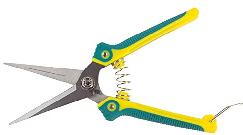 VGVSBG Tijeras de podar para jardinería Tijeras manuales para Recoger Frutas y Verduras Herramienta para Recortar Ramas Delgadas con Hoja Recta de Acero Inoxidable Mango Antideslizante de