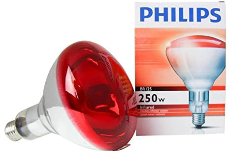 Gima 28654 Lampadina, Ricambio, 250 W