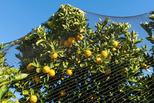 Konege Volierennetz - Breite 10,0m x 10,0m Länge, MW 5,0cm, europ. Fertigung, geknotet, Geflügelnetz, Raubvogelschutz, Taubenabwehr