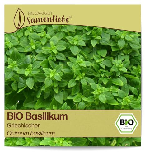 Samenliebe BIO Basilikum Samen Griechischer würziges Buschbasilikum kompakte Küchenkräuter grün 500 Samen samenfestes Kräuter Saatgut für Küche indoor und Balkon Garten BIO Kräutersamen