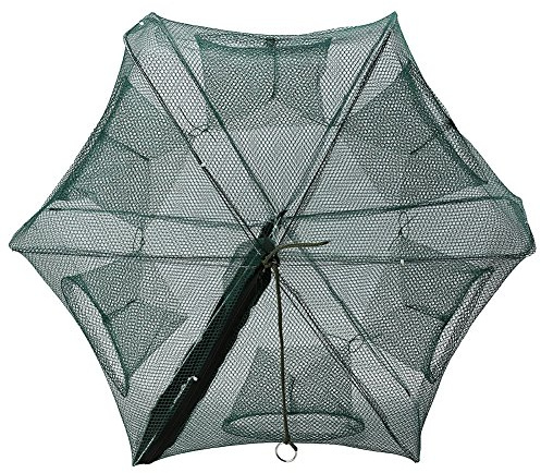 Fisch Reuse, Faltbare Fischernetz Garnelen Käfig Tragbar Angelnetze Nylon Köderfischreuse Wurfnetz zum Fischen, für Fisch Garnele Minnow Crayfish Crab Krebse (12 Löcher)
