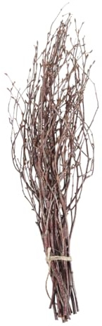 Cabilock 10 Ramas de Abedul y Accesorios de Fotografía para Decoración del Hogar Estilo Rústico Marrón de Madera Natural Ideales para Arreglos y Centros de Mesa