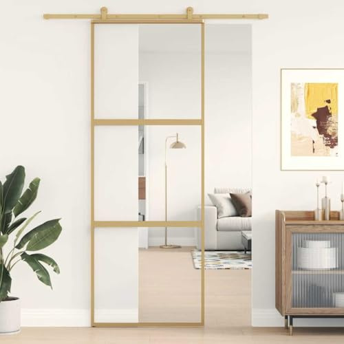 Juego completo de puerta corredera de cristal, juego completo, puerta corredera, 76 x 205 cm, cristal templado transparente y aluminio, para crear un ambiente abierto y luminoso