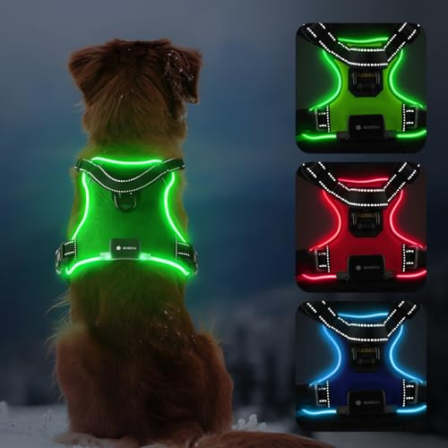 MASBRILL Leuchtendes Hundegeschirr, LED-Hundegeschirr wiederaufladbar, verstellbar & reflektierend, Grün, M