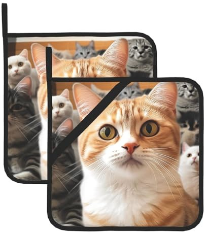2 presine con tasca, resistenti al calore, per controsoffitti, guanti da forno, sottobicchieri, divertenti presine per gatti per cucina, cucina, sottopentola da forno da 20,3 cm