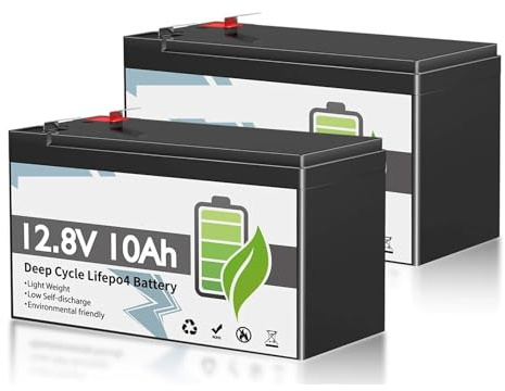 Lot de 2 Batteries LiFePO4 12 V 10 Ah Rechargeables au Lithium Fer Phosphate for système Solaire, avec BMS intégré