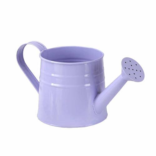 budiniao Maceta de Hierro de Metal, Mini regadera para jardín, Maceta única Retro, decoración Encantadora, Mini regadera, Hierro, Metal, jardín, Flores, Multiusos, Púrpura, 24.5 x 11.5 cm