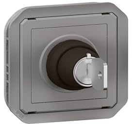 Interruptor de llave - Ronis - 2 posiciones - gris - composable - legrand plexo 069534l