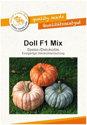 Doll F1 Mix Kürbissamen von Bobby-Seeds, Portion