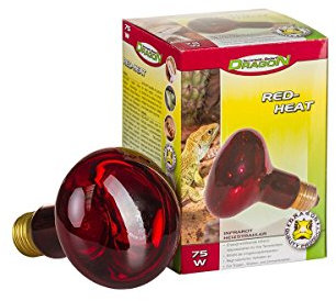 Dragon Red Heat Infrared Basking Spot - Rotlichtlampe für Reptilien (150W)