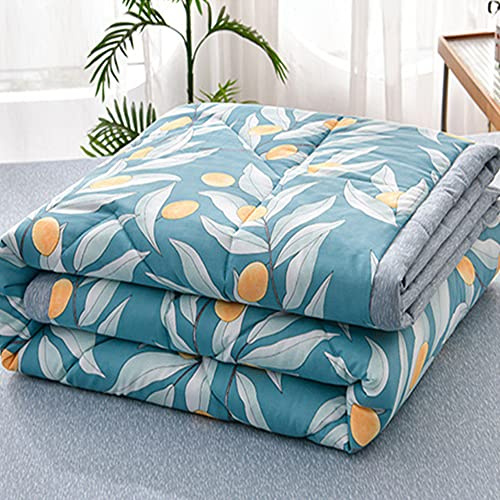 Chickwin Tagesdecke Bettüberwurf Gesteppt, Einfach Blumen Tagesdecke Schlafzimmer Steppdecke Decke Überwurf Wohnzimmer Sofaüberwurf für Einzelbett Doppelbett (180x200cm,Blauer See)