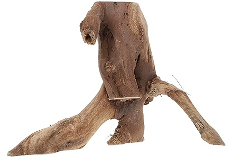 Zerodeko Natural Landscaping Branches Climbing Pet Environmental Branches Solid Wood Vine Decorative Plant Rustic Table Ornament for Home and Diy Landscaping Projects