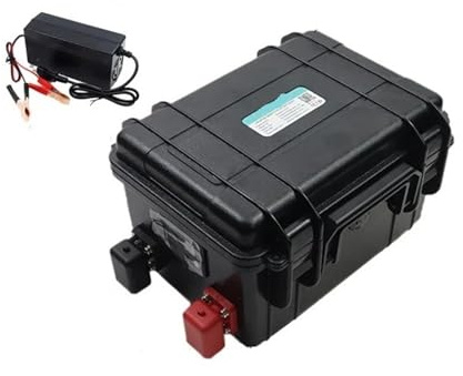 Batterie Lithium-Fer-Phosphate 12 V 30 Ah, 50 Ah, 100 Ah, 120 Ah, 150 Ah, Version Bluetooth, Compatible avec Une Alimentation Portable 12,8 V(30Ah -10A Charger)