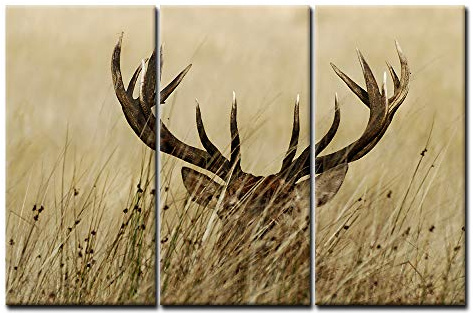 First Wall Art - Hirsch Leinwand Bilder Hirsch mit Langem Geweih in den Büschen Wandbild Poster 3 Panel Modern Tiere Dekorationen Für das Wohnzimmer,Büro,Küche,Badezimmer,Schlafzimmer