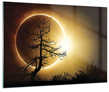 Moderno Quadro in Vetro 100x70 cm Stampe da Parete Spazio Paesaggi - 4349 | Eclissi Sole Albero Quadro Decorativo Grande Decorazione Murale Soggiorno Arte da Parete Decorazione da Parete ARTTOR