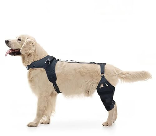 LISPOO Golden Retriever Hunde-Kniebandage für zerrissene Akl-Beine, Luxating Patella, Gelenkschmerzen, Hunde-Acl-Stützbandage wärmt Gelenk und lindert Schmerzen, hilft bei der Genesung mit