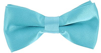 Fliege Jungen Türkis Blau