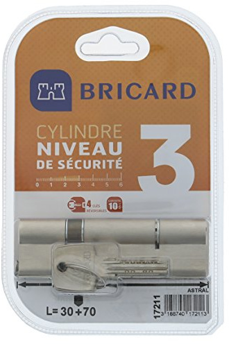 Bricard 17211 Cylindre Astral 2,9 en Laiton Nickelé 10 pistons/2 entrées 30 + 70