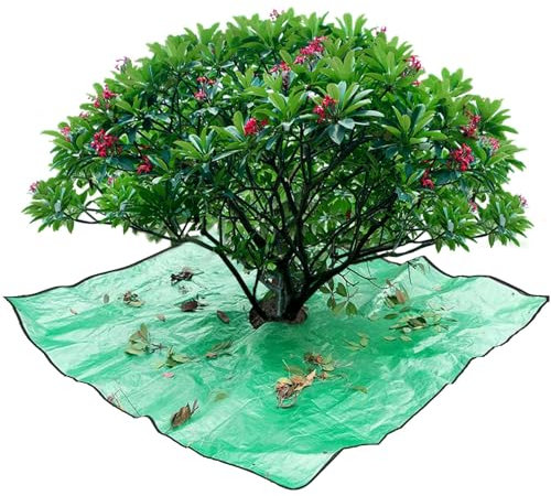 Pflanzenmatte Umtopfmatte Formschnittmatte Arbeitsunterlage Für Pflanzarbeiten/Umtopfarbeiten Wasserdichte Pflanzen Umtopfmatte Faltbare Pflanzenmatte Gartenarbeitsunterlage Für Umtopf, Sukkulenten