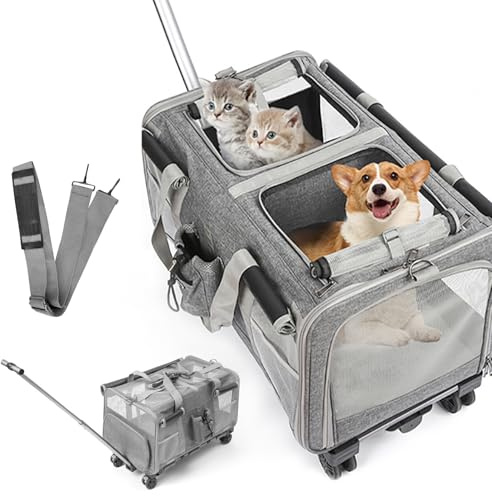 XXL Katzentransportbox mit Rollen, 2 Fächer für Katzen bis 20kg | Faltbare Haustiertrage mit Belüftung, geeignet für Katzen und kleine Hunde beim Reisen, Wandern und Camping