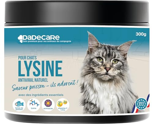 Lysin – 300 g L-Lysin Pulver – Fischgeschmack – Stärkung des Immunsystems, Vorbeugung von Herpes Felino – geeignet für junge und ältere Katzen