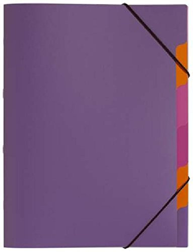 Ordnungsmappe 6tlg. lila PAGNA 41803-12 PP Funky School