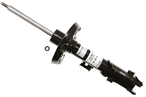 SACHS 316 883