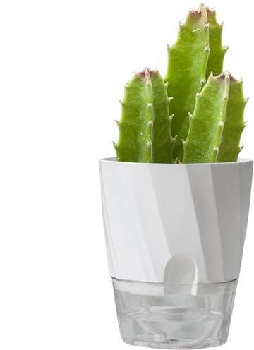 Selbstbewässernde Töpfe – große feuchtigkeitsableitende Pflanztöpfe, moderne dekorative Töpfe | Aloe, Kräuter, Usambaraveilchen und Sukkulenten, ideal für Zimmerpflanzen, Zimmerpflanzen, pflegeleichte