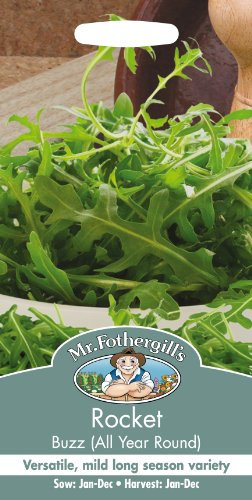 Mr Fothergill's 13640 Vegetable Seeds, Rocket Buzz (All Year Round), Green