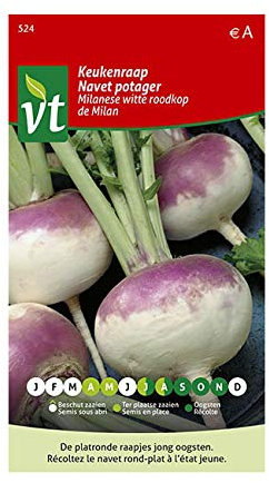 Garden Turnip De Milan Seeds per gram - 6 g - Seeds per gram: 500