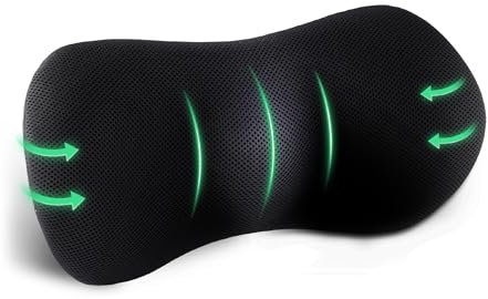 EGO HOME Lendenkissen Charcoal Memory Foam Lendenwirbelstützkissen Auto Rückenkissen Ergonomisches Lendenwirbelkissen Stuhl Rückenstützkissen für Bürostühle, Computerstühle, Sofa, Autositze