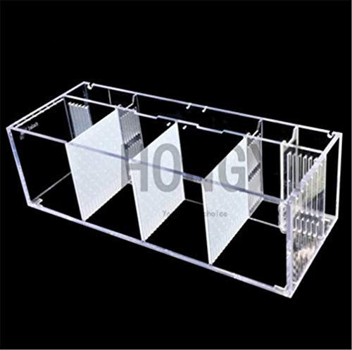 HONGYI 1 Stück Acryl Bettas Zylinder isoliert Fisch-Behälter Tilted Wasserpumpe Zucht Zylinder Baby Betta Behälter Guppy Zucht (Color : White, Size : Betta Fish Tank)