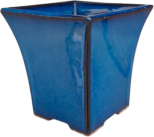Genérico BIOMATA Maceta Bonsai Ceramica Estilo Cascada 12x12x11 cm | Macetero Bonsai Hecho en Japón | Tiesto con Agujero de Drenaje | Árbol no Incluido (Azul)