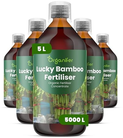 Engrais liquide organique 5x1L pour Bambou chanceux – croissance durable et floraison optimale – Organifer