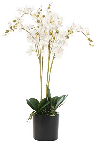 Leaf Design UK Realistic Artificial Orchid Flower Display in Pot, White, 60cm