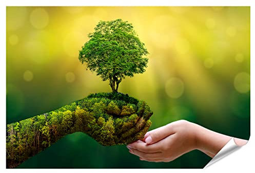 islandburner XXL Bild Poster Umwelt Earth Day Klima Natur Bäume Hand hält Baum Premium Fotodruck Bilder auf Foto Papier 150x90cm Maße & Qualität: 130 cm x 90 cm – XXL Poster.