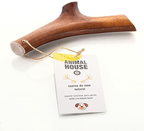 Animal House – Rentiergeweih für Hunde – 100% natürlicher Kausnack – Stärkt die Mundhygiene – Widerstandsfähig und langlebig – In Allen Größen erhältlich (S)