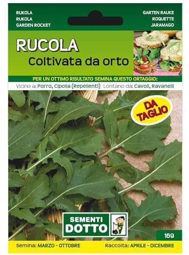 Sicignano | Semi Rucola Coltivata da Orto, Taglia Media, Busta Extra - 4 Confezioni da 17g, Germinazione Facile, Raccolto Continuo da Aprile a Dicembre