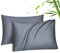 Fittia 2er-Set Lyocell Bambus Kissenbezug Bambusfaser Kopfkissenbezug Kissenhülle Seidig weichkühlend atmungsaktiv mit verdecktem Reißverschluss, Grau, 40x80cm