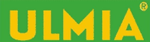 Absatz-Simshobel doppelt aus Weißbuche mit Doppeleisen 30 mm