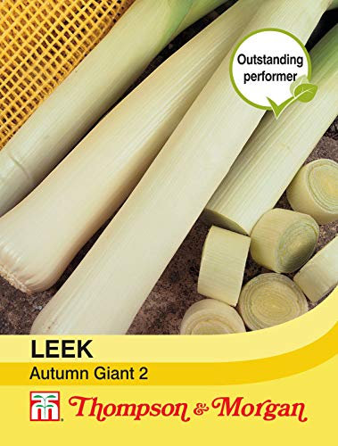 Thompson & Morgan - Vegetables - Leek Autumn Giant 2-150 Seed