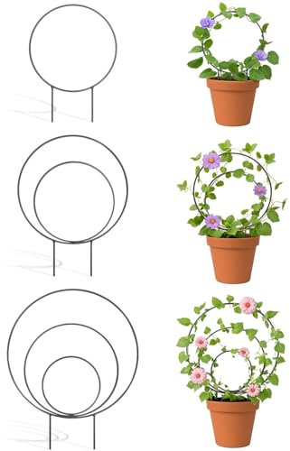 3 Pcs Different Sizes Metal Hoya Trellis, Small Round Indoor Plant Trellis for Potted Plants Climbing, Black Unique Houseplant Trellis for Vine Ivy Flower Plant Support